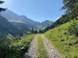 Dein Weg, dein Potenzial, deine Reise